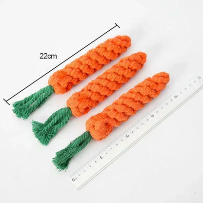 rope carrot dog toy