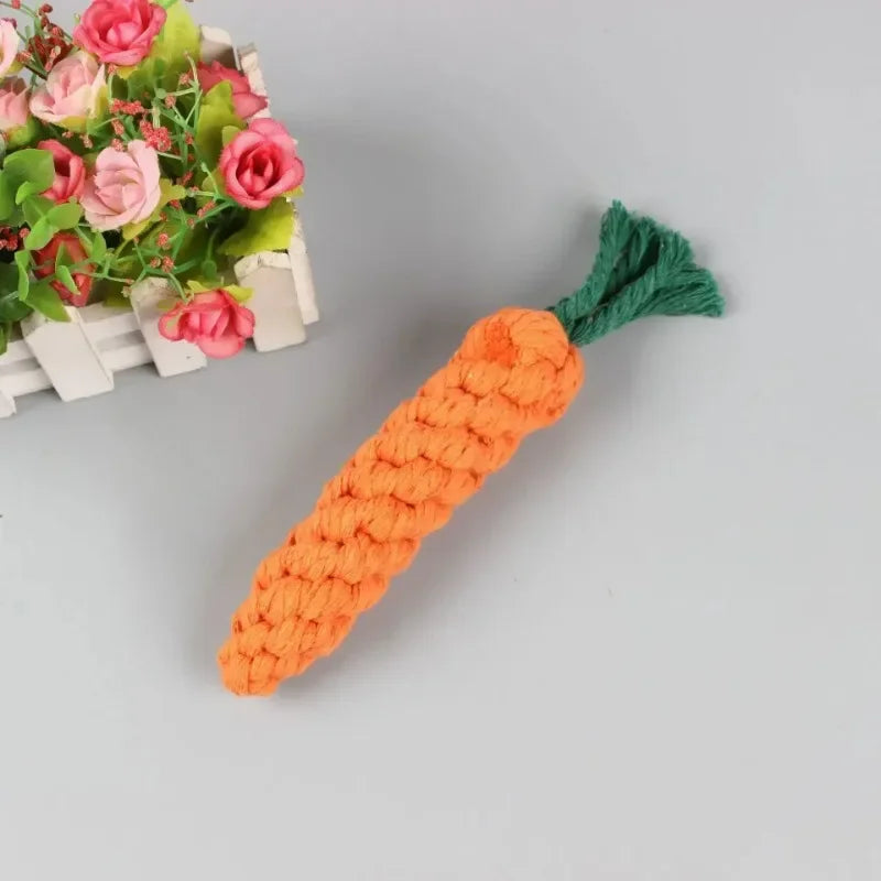 rope carrot dog toy