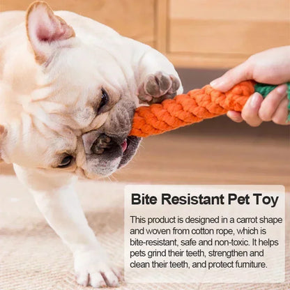 rope carrot dog toy