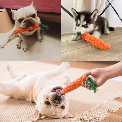 rope carrot dog toy